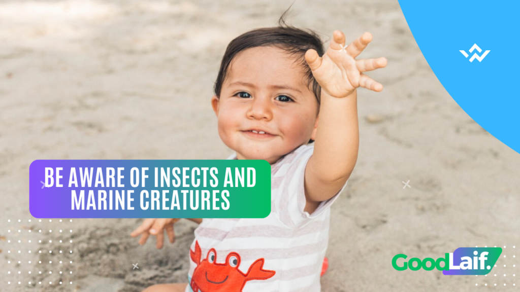 Be Aware of Insects and Marine Creatures - Beach Tips And Tricks