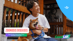 Zoonosis Diseases That Can Be Transmitted from Animals to Humans