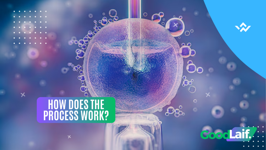 How Does the Process Work?