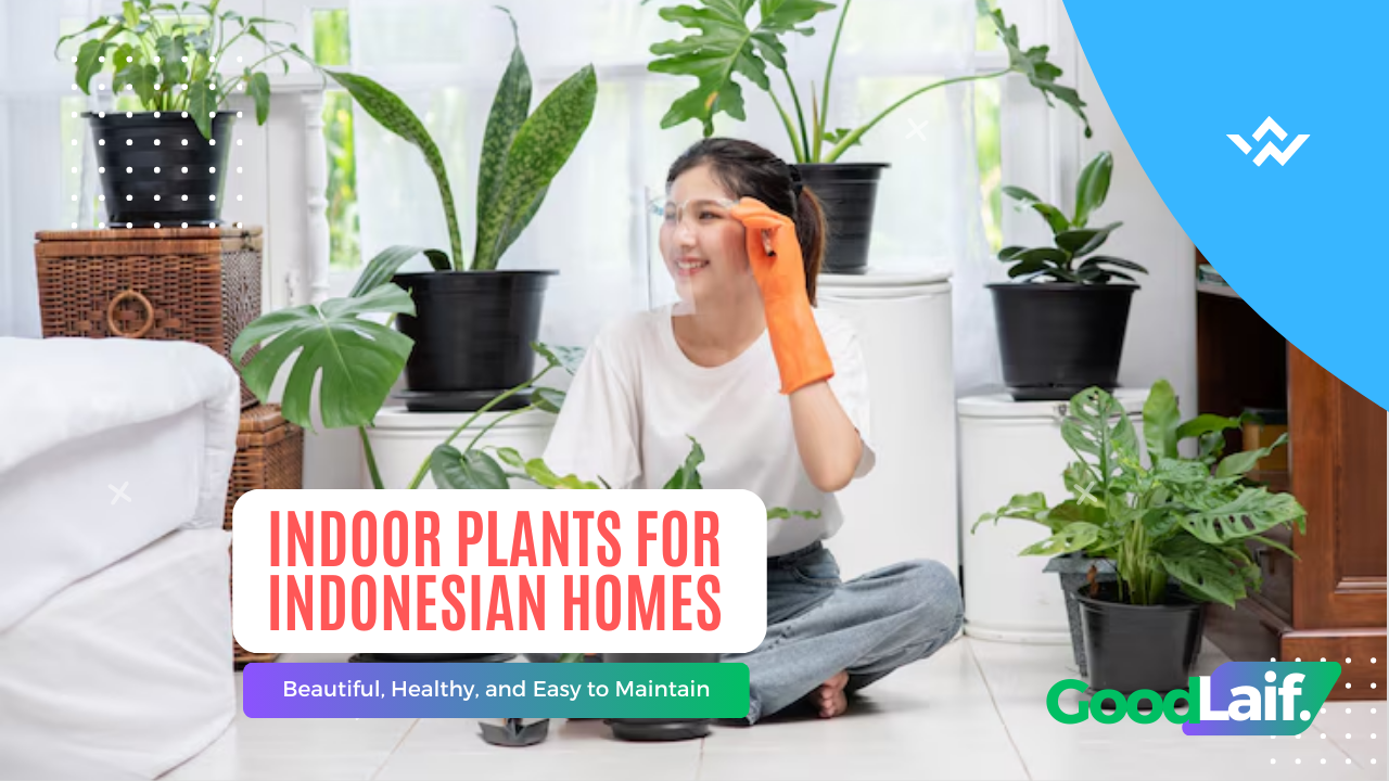 Indoor Plants for Indonesian Homes: Healthy and Easy to Maintain