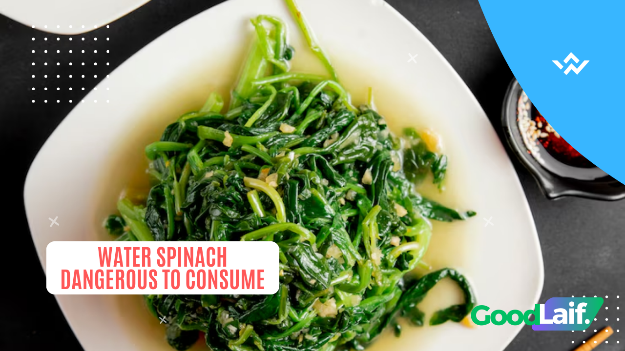 Water Spinach Dangerous to Consume!