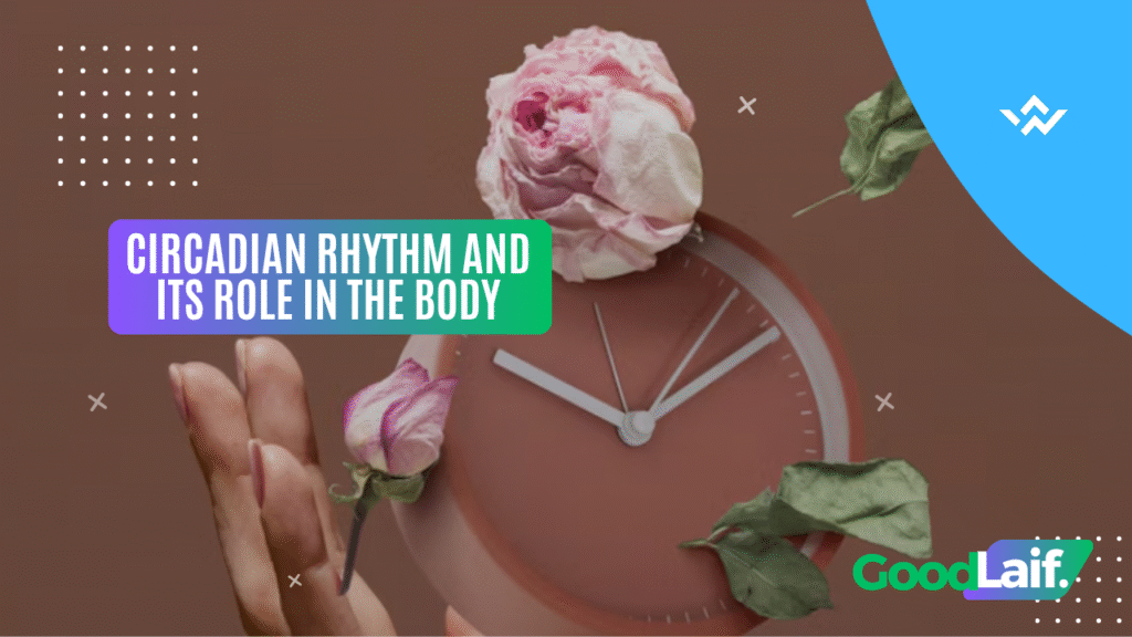 Circadian Rhythm and Its Role in the Body
