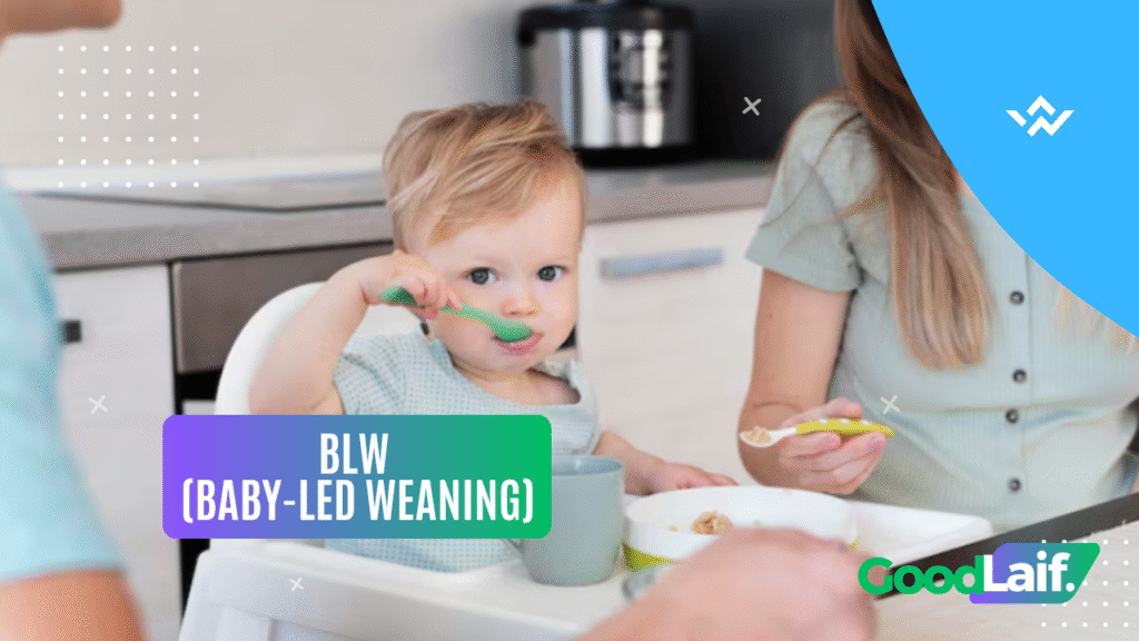 What Is BLW (Baby-Led Weaning)?