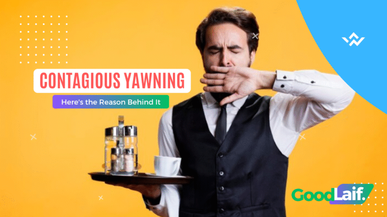 Contagious Yawning Here’s the Reason Behind It