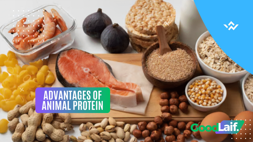 Advantages of Animal Protein