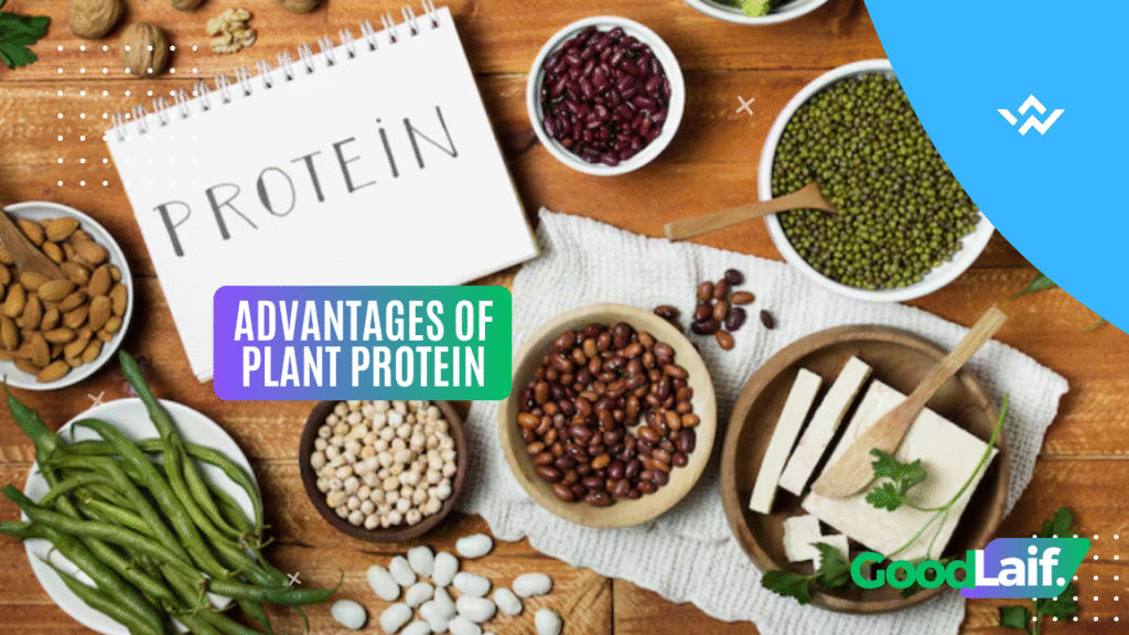 Advantages of Plant Protein