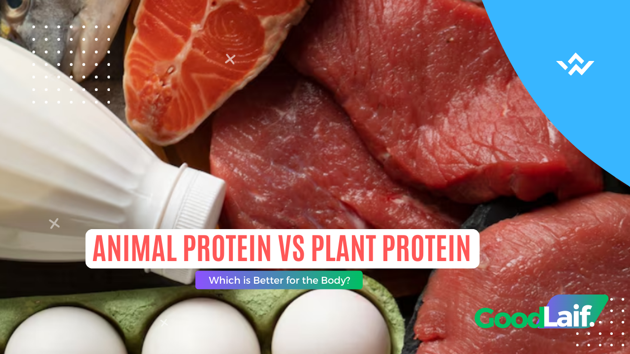 Animal Protein vs Plant Protein: Which is Better for the Body?