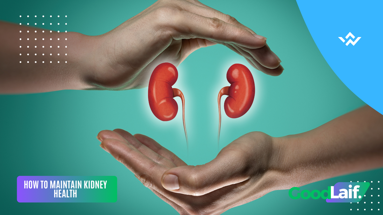 How to Maintain Kidney Health