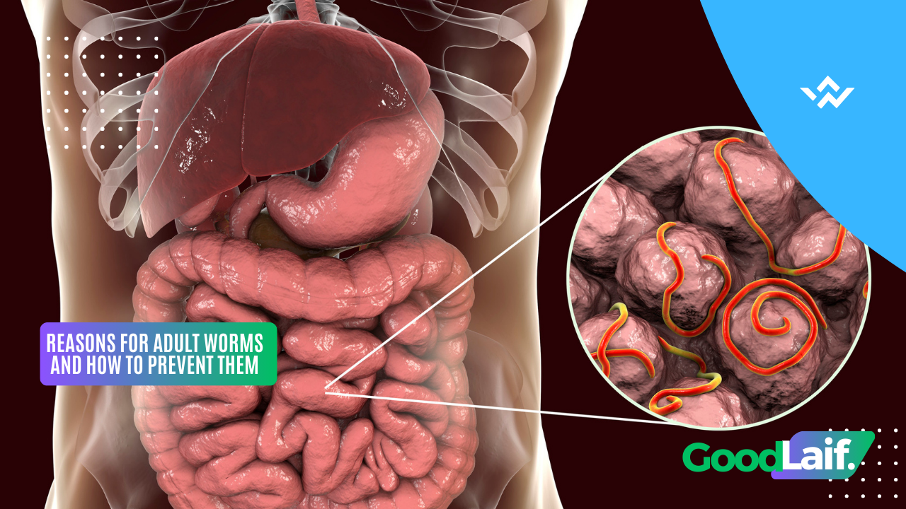 Reasons for Adult Worms