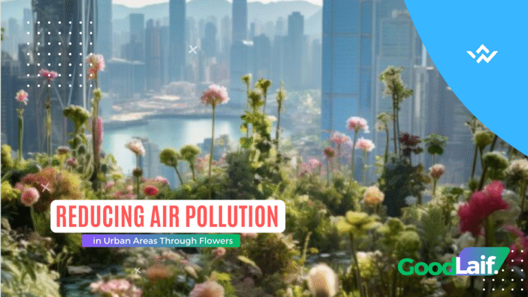 Reducing Air Pollution in Urban Areas Through Flowers