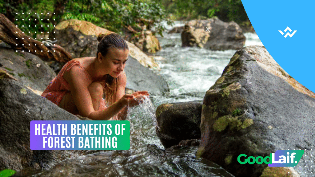 Health Benefits of Forest Bathing
