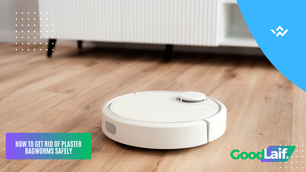 How to Get Rid of Plaster Bagworms