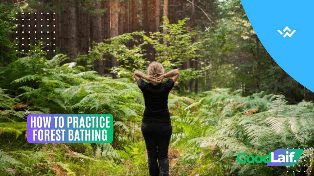 How to Practice Forest Bathing