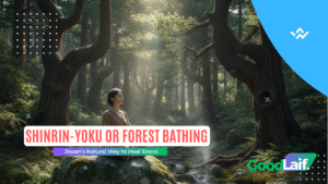 Shinrin-Yoku or Forest Bathing: Japan’s Natural Way to Heal Stress
