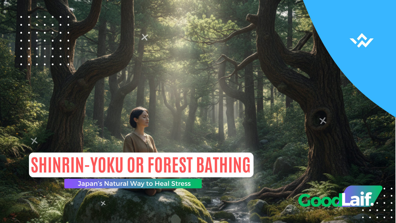 Shinrin-Yoku or Forest Bathing: Japan’s Natural Way to Heal Stress