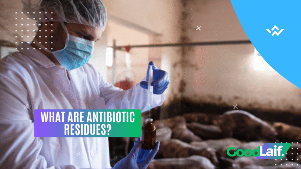 Control and Prevention Measures