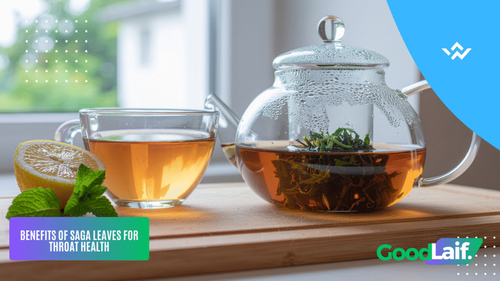 Saga Leaves for Cough