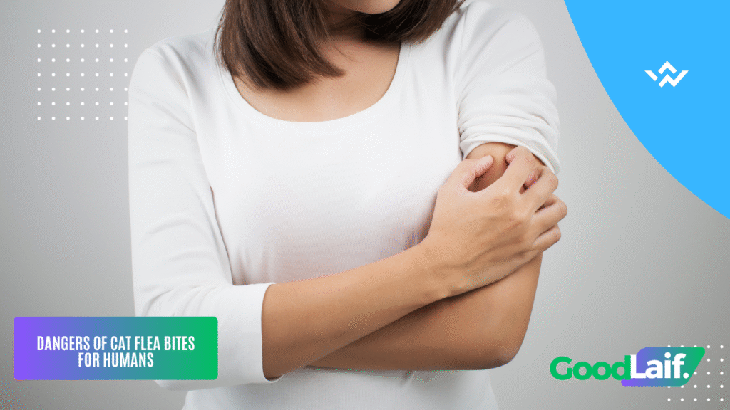 Cat Flea Bites