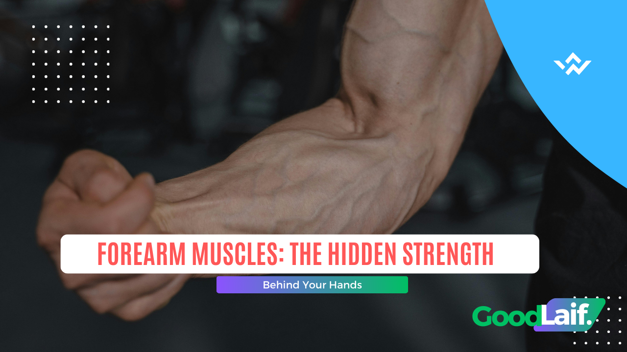 How to Train Forearm Muscles