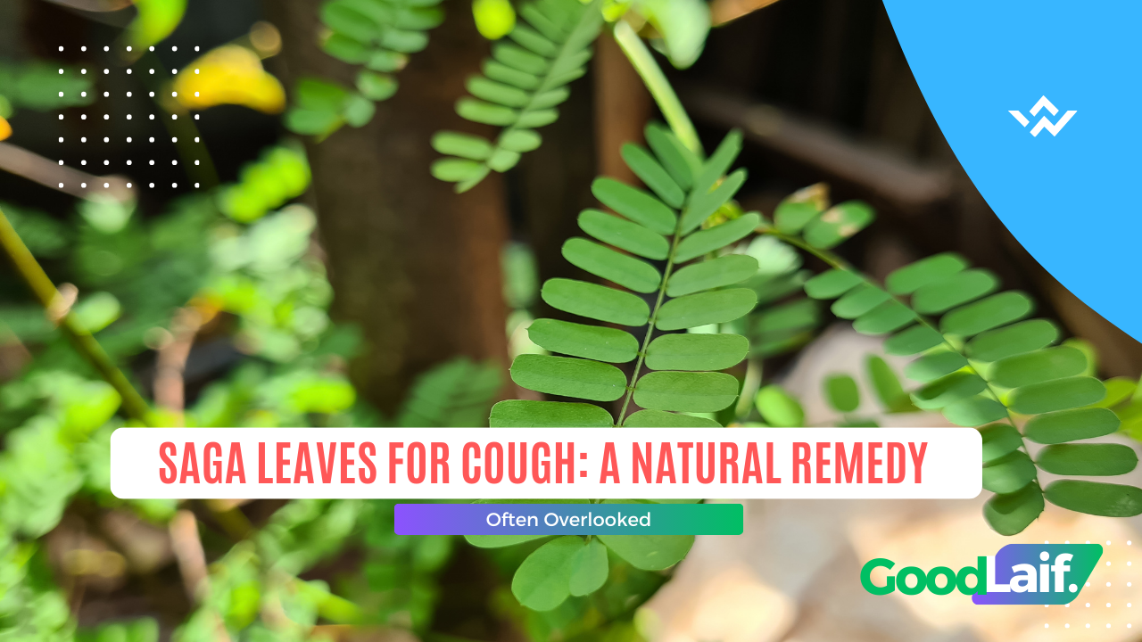Sage Leaves for Cough