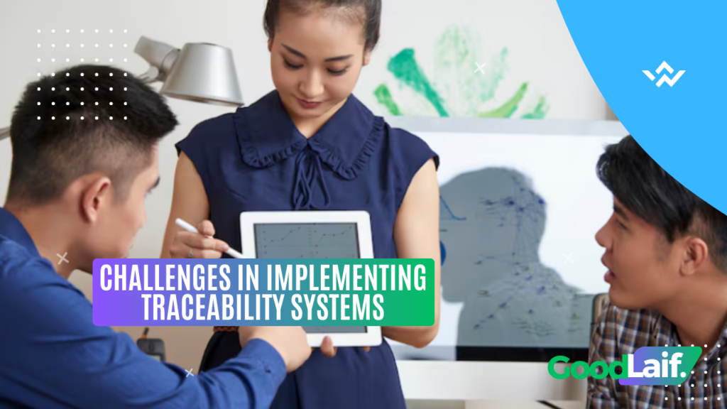 Challenges in Implementing Traceability Systems