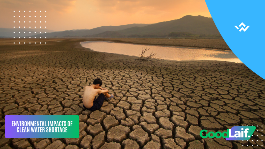 The Impact of Clean Water Shortage