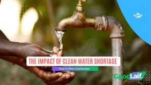 The Impact of Clean Water Shortage