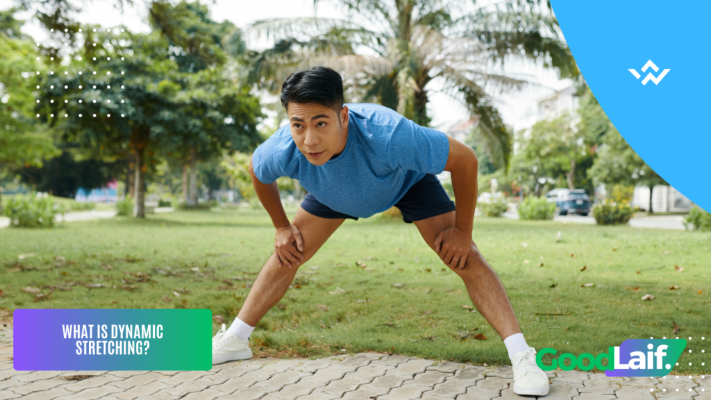 Dynamic Stretching