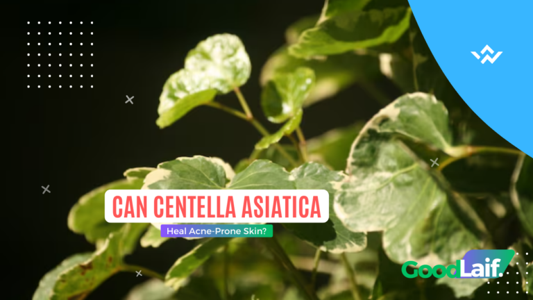 Can Centella Asiatica Heal Acne-Prone Skin?