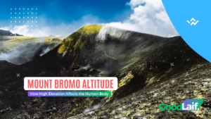 Mount Bromo Altitude: How High Elevation Affects the Human Body