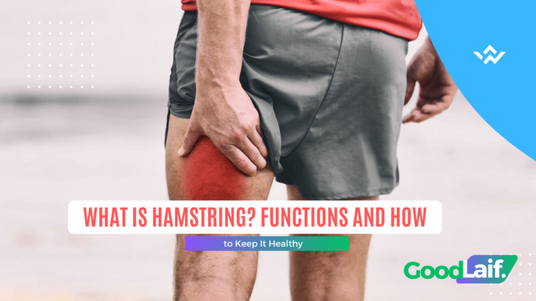 What Is Hamstring? Functions and How to Keep It Healthy