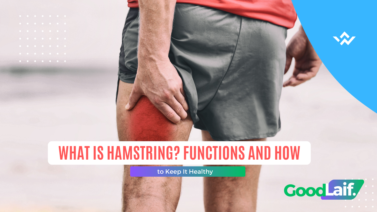What Is Hamstring