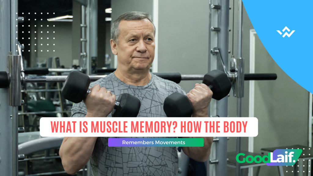 What Is Muscle Memory? How the Body Remembers Movements - Reach Your ...