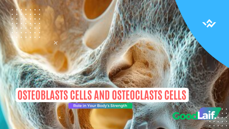 Osteoblasts Cells and Osteoclasts Role in Your Body’s Strength