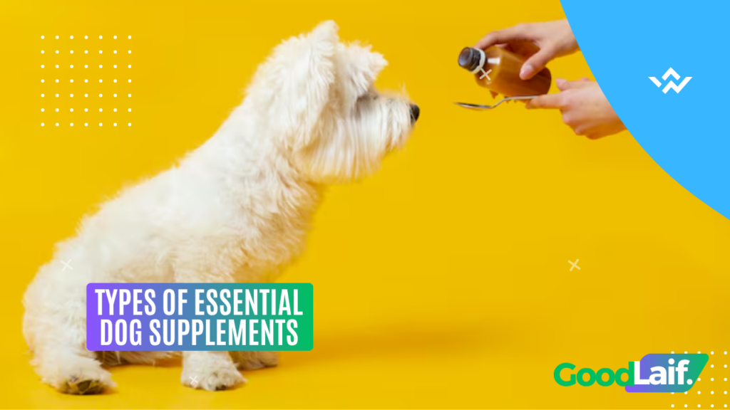 Types of Essential Dog Supplements