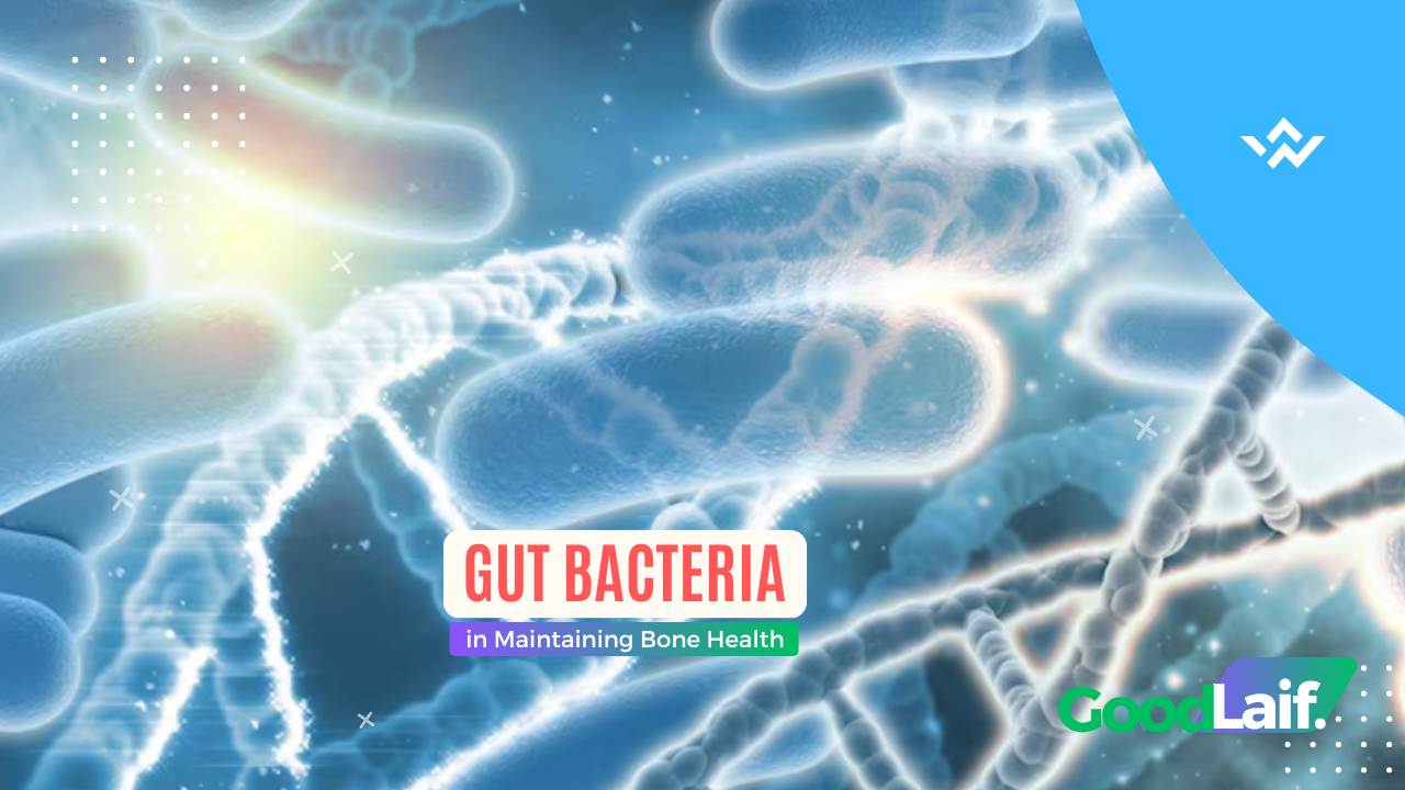 Gut Bacteria in Maintaining Bone Health