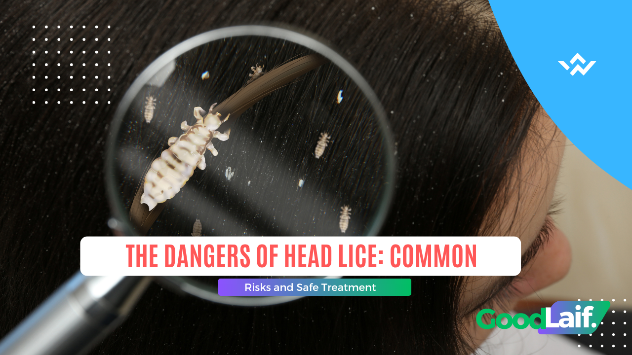 Close up photo of a head louse under a magnifying glass as an illustration of the dangers of head lice, risks, and treatment