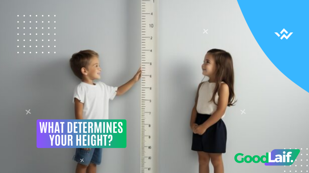 What Determines Your Height?
